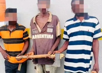 Cidadãos congoleses detidos por tráfico de órgãos genitais femininos na Lunda-Norte