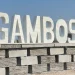 Santa Teresinha instala nos Gambos 1.ª comunidade do Sul de Angola