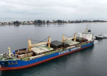 Recebido primeiro lote de vagões porta-contentores no Porto do Lobito