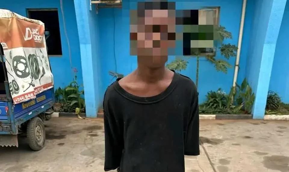 Adolescente de 17 anos detido por assassinato de um menor de 15
