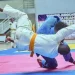 Provincial sénior de judo de Benguela disputa-se no próximo mês