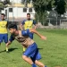 Pré-época: Petro de Luanda testa hoje com Atlético de Portugal