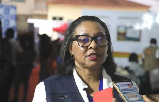 Sal de Angola passa a ser comercializado na RDC a partir da próxima semana