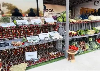 Cerca de 100 milhões de kwanzas arrecadados na Expo-Cunene 2025