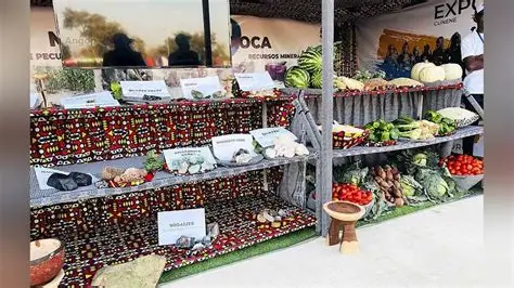 Expo-Cunene prevê volume de negócios acima dos 300 milhões de Kwanzas