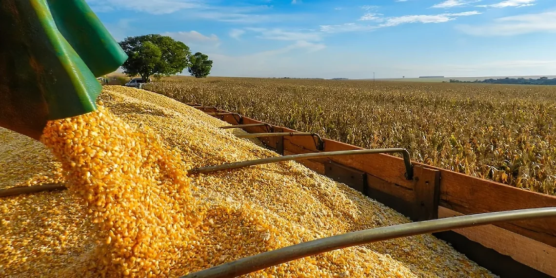 ‎Empresa chinesa vai investir 100 milhões de dólares para produção de milho e soja no Leste de Angola