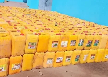 Apreendidos mais de 13 mil litros de combustível no Zaire