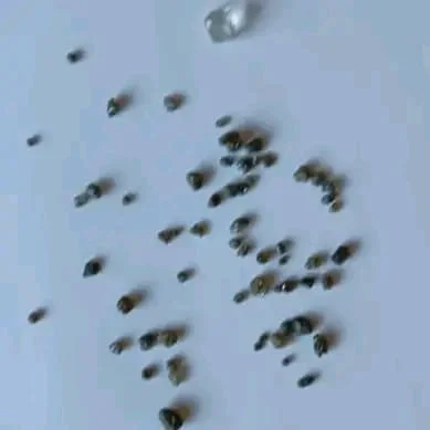 SIC detém cidadã por posse ilegal de 61 pedras de diamantes no Cubango