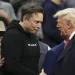 Partido de Musk pode vencer eleições locais e conquistar alguns assentos no Congresso, diz analista