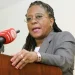Ministra de Estado realça papel do Executivo no fortalecimento do sector da saúde em Angola