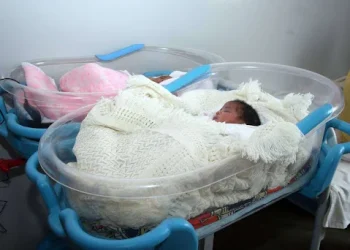 Recém nascida morre atacada por formigas “Kissonde” no Bié