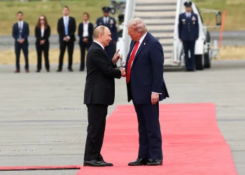 Putin propõe a Trump reunir com Zelensky na Rússia e Ucrânia rejeita