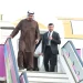 Presidente dos Emirados Árabes Unidos chega a Angola