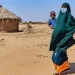África precisa de US$ 3 triliões para atingir metas climáticas