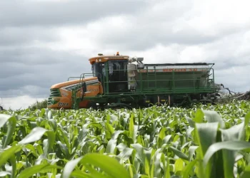 Agricultores querem aumentar áreas de cultivo na safra 2025/2026