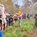 Polícia Nacional repatria mais de 700 cidadãos da RDC por estadia ilegal