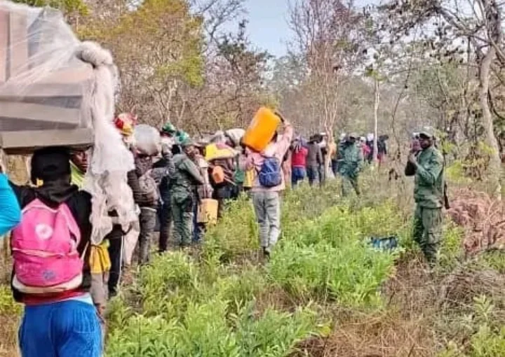 Polícia Nacional repatria mais de 700 cidadãos da RDC por estadia ilegal