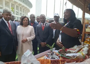 Município da Palanca apresenta potencialidades na FMCA em Benguela