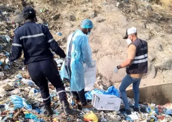 Feto de vinte semanas resgatado numa ravina no município do Cuito