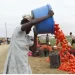 Angola assegura presença no maior evento mundial de exposição de produtos agrícolas