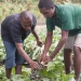 IDA prevê inserir mais de nove mil jovens no agro-negócio até 2026