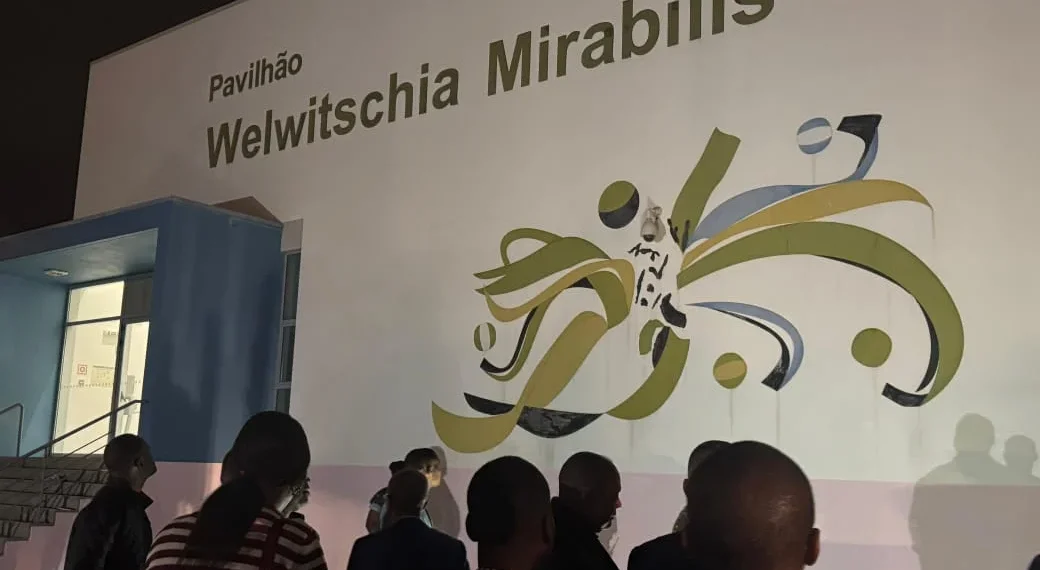 Welwitschia Mirabilis em prontidão para receber estrelas africanas