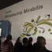 Welwitschia Mirabilis em prontidão para receber estrelas africanas