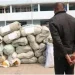 Cidadão detido em flagrante com três sacos de 50 quilos liamba