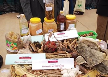 Conselho de Medicina Natural denuncia aumento de falsos médicos em Luanda