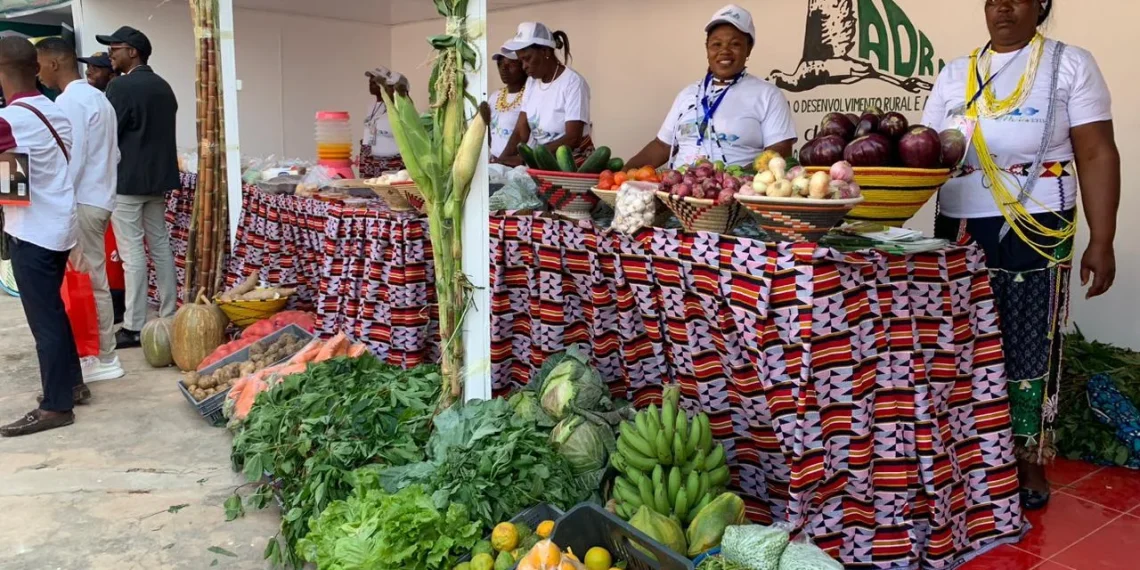 Expo Gambos termina com um volume de negócios avaliado em 60 milhões de Kwanzas