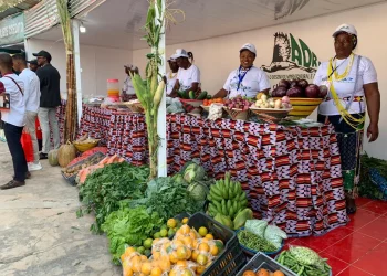 Expo Gambos termina com um volume de negócios avaliado em 60 milhões de Kwanzas