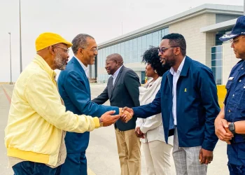 Ministro Diamantino Azevedo trabalha no Namibe