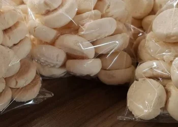 Da Universidade ao empreendedorismo: Antigo docente universitário coloca no mercado “bolacha de mandioca” para garantir sobrevivência
