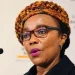 Ministra apresenta Plataforma de Acção de Pequim da África do Sul na AGNU80
