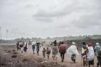 RDC: Situação crítica no Kivu Norte