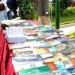 A educação literária em Angola, uma via para democratização do saber