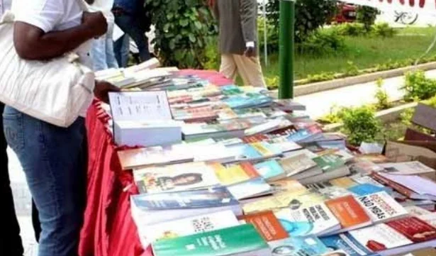 A educação literária em Angola, uma via para democratização do saber
