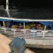 Apreendida embarcação com mais de quatro mil litros de combustível contrabandeado