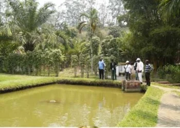 Fórum de negócios e conectividade expõe potencial turístico e urbano do Resort Mawete e da Fazenda MRC