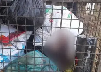 ‎Recém-nascido encontrado morto no interior de um contentor de lixo na Samba