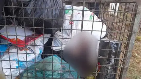 Recém-nascido encontrado morto no interior de um contentor de lixo na Samba