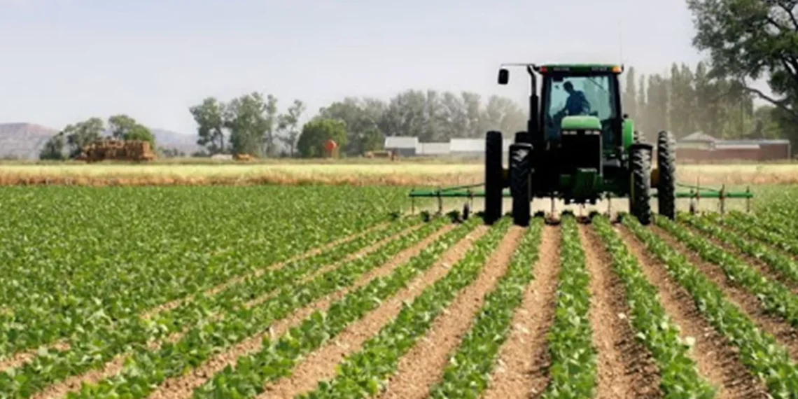 Estado prevê investir mais de 40 trilhões de kwanzas no sistema agro-alimentar nos próximos 10 anos