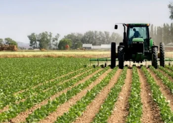Estado prevê investir mais de 40 trilhões de kwanzas no sistema agro-alimentar nos próximos 10 anos‎
