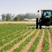 Estado prevê investir mais de 40 trilhões de kwanzas no sistema agro-alimentar nos próximos 10 anos‎