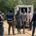 Detidos seis supostos envolvidos no linchamento do 2° comandante da Polícia Fiscal do Uíge
