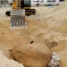 Enterrada a baleia de 17 metros que apareceu morta na Ilha de Luanda