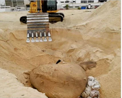 Enterrada a baleia de 17 metros que apareceu morta na Ilha de Luanda