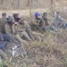 SIC detém 11 cidadãos zambianos suspeitos de exploração ilícita de madeira no Moxico Leste