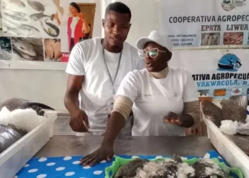 48 cooperativas da APASIL alcançam êxito com apoio do FADA