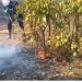 Duas crianças de dois anos gravemente feridas em incêndio na Caála